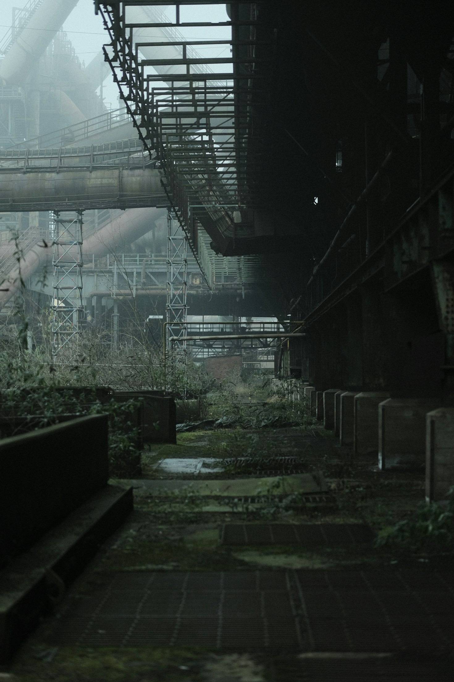 Poradnik dla początkujących: Pierwsze kroki w DayZ